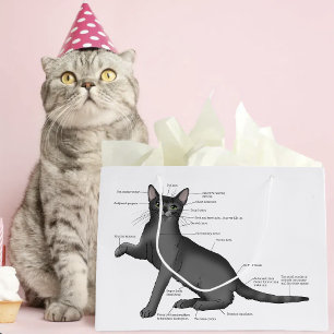 Funny Cat Anatomy Diagram Humour Nerdy Large Gift Bag