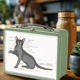 Funny Cat Anatomy Diagram Humour Nerdy Metal Lunch Box