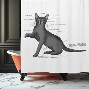 Funny Cat Anatomy Diagram Humour Nerdy Shower Curtain