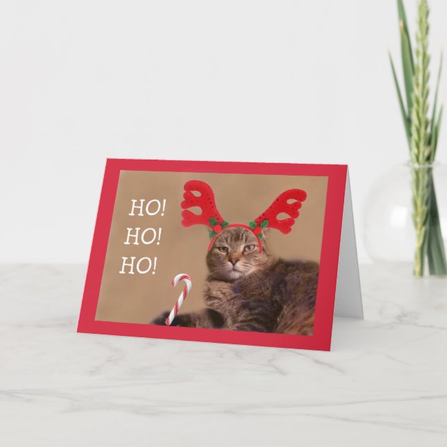 Funny Cat And Candy Cane Christmas Holiday Card (Front)