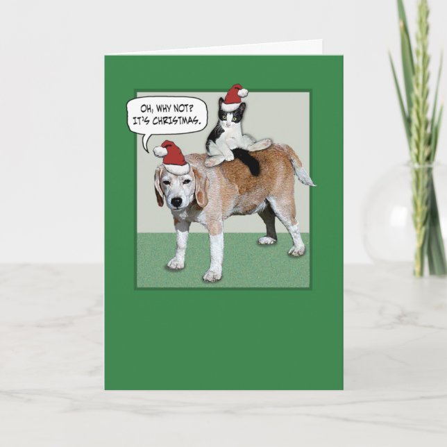 Funny Cat and Dog Christmas Holiday Card (Front)
