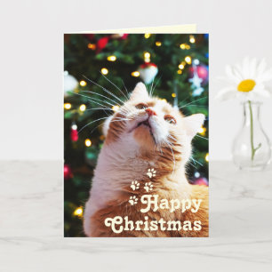 Funny Cat and Green Tree&Happy Christmas Unique  C Card