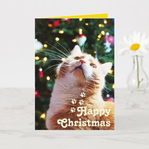 Funny Cat and Green Tree&Happy Christmas Unique  C Card