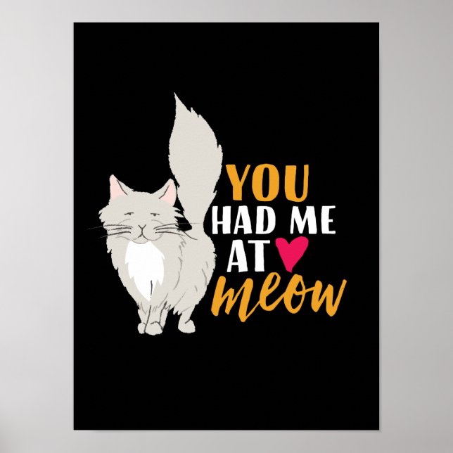 Funny Cat and Kitten Love You Had Me At Meow Poster (Front)