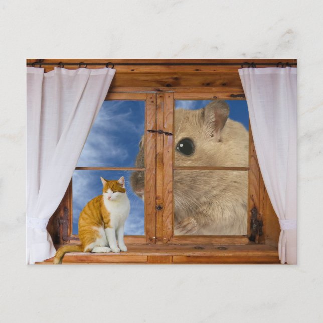 Funny Cat and Mouse Postcard (Front)