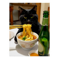 Funny Cat and Noodles Scene – Asian Food Humor