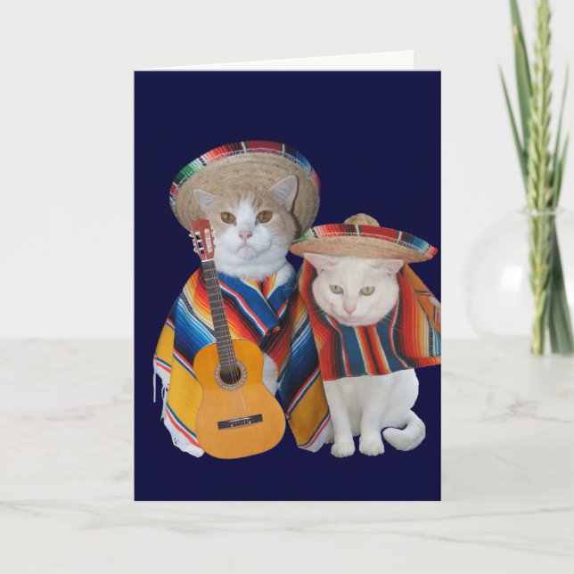 Funny Cat Anniversary for Husband in Spanish Card (Front)