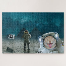 Funny Cat Astronaut In Space