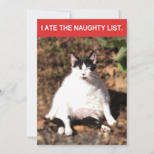 Funny Cat Ate Santa's Naughty List Christmas Holiday Card