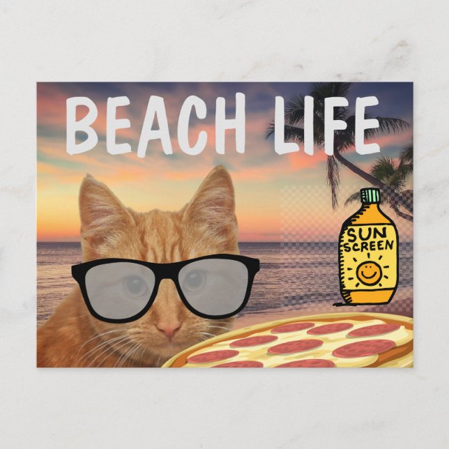 FUNNY CAT BEACH LIFE POSTCARD (Front)