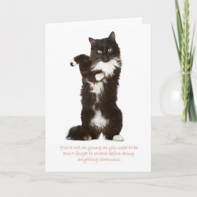 Funny Cat Birthday Card (Front)