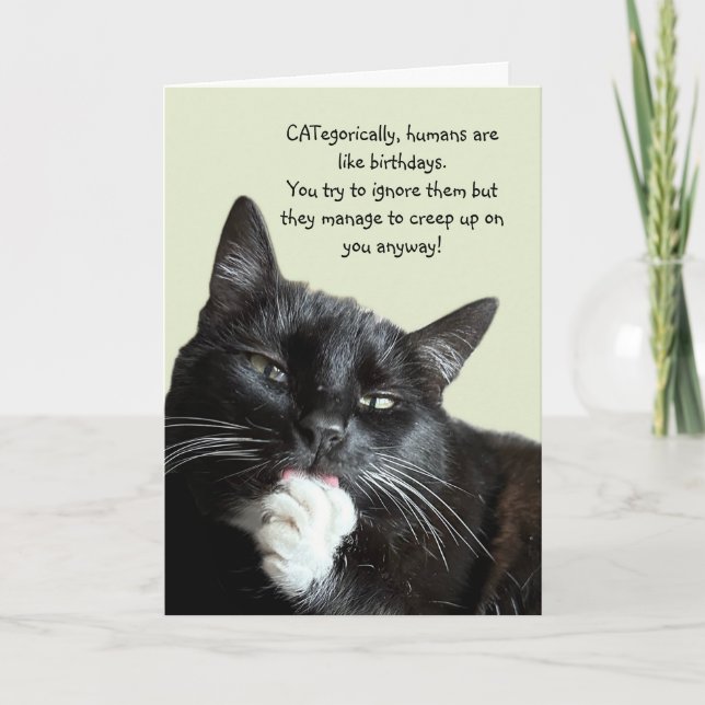 Funny Cat Birthday Card (Front)