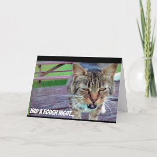 Funny Cat Birthday Card