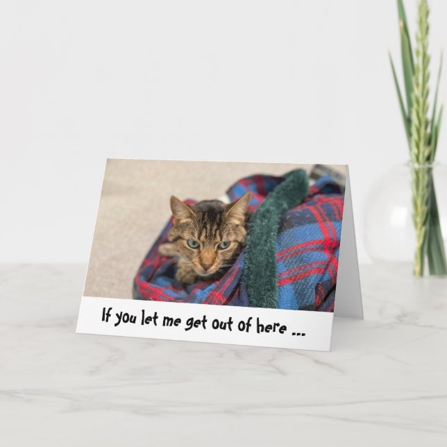 Funny Cat Birthday Card (Front)