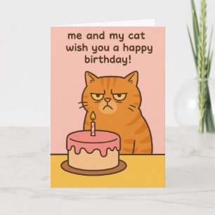 Funny cat birthday card