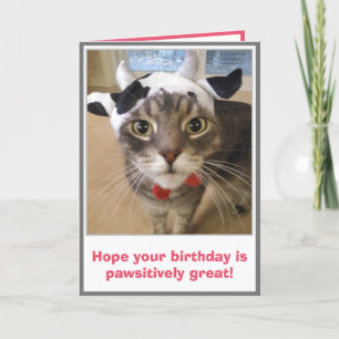 Funny Cat Birthday Card