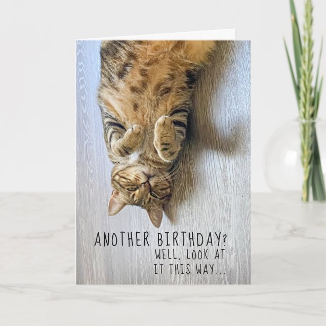 Funny Cat Birthday Card (Front)