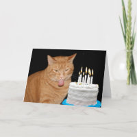 Funny cat birthday