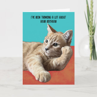 Funny Cat Birthday Card