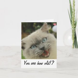 Funny cat birthday card