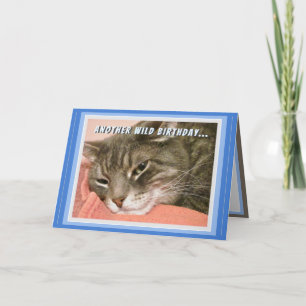 Funny Cat Birthday Card