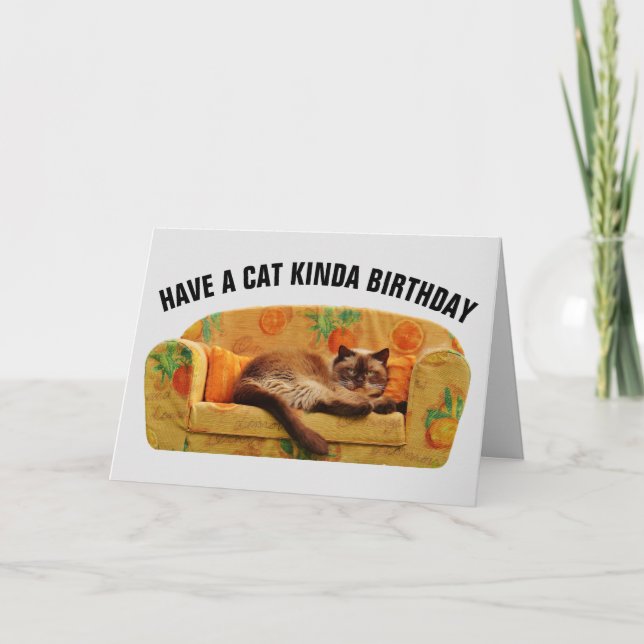 FUNNY CAT BIRTHDAY CARDS, HAVE A CAT BIRTHDAY CARD (Front)