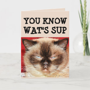 FUNNY CAT BIRTHDAY Greeting Card