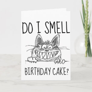 FUNNY CAT BIRTHDAY GREETING CARDS
