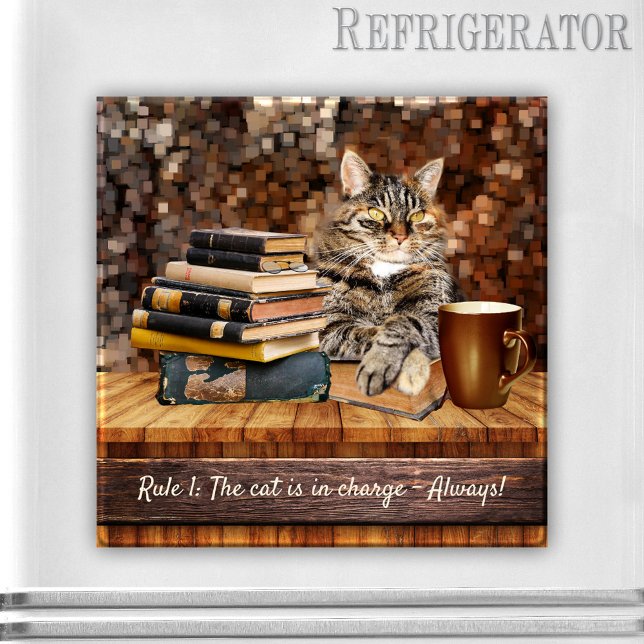 Funny Cat Books Coffee Magnet (Funny tabby cat magnet with a kitty lying on top of a pile of books with a coffee)