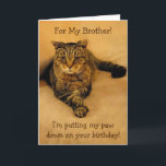 Funny Cat Brother Birthday Card<br><div class="desc">Birthday card for a brother featuring Rupie putting his paw down for some special fun. Inside photo shows he means business. Personalise with your own message. Thanks very much for looking. Photos ©Christine Greenspan</div>