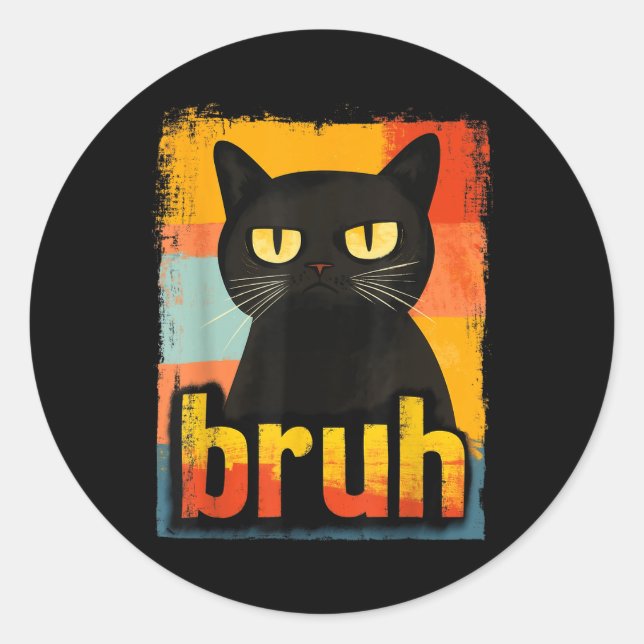 Funny Cat Bruh For Teens Boys Girls Men Women Meme Classic Round Sticker (Front)