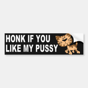 FUNNY CAT BUMPER STICKER