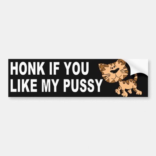 Image of FUNNY CAT BUMPER STICKER