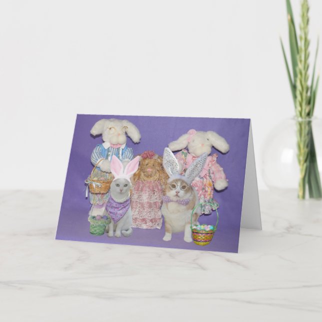 Funny Cat Bunnies Easter Card (Front)