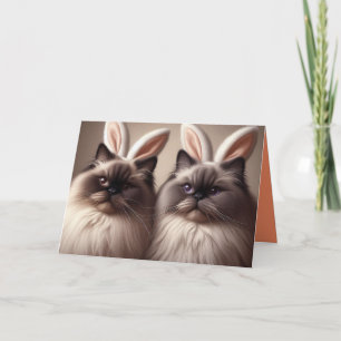 Funny Cat Bunny Happy Easter Card