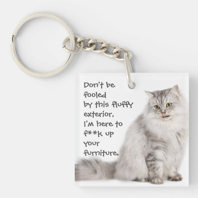 Funny Cat Caption Mess up Furniture Key Ring (Front)