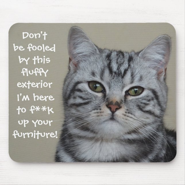 Funny Cat Caption Mess up Furniture Mouse Mat (Front)