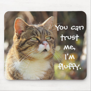 Funny Cat Caption Trust Me I'm Fluffy Mouse Mat