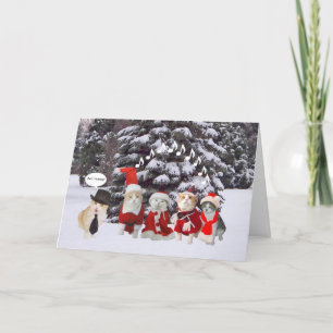 Funny Cat Carolers Holiday Card
