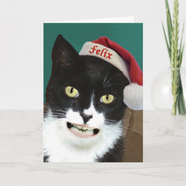 Funny Cat Christmas Card (Front)