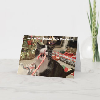 Funny Cat Christmas Card
