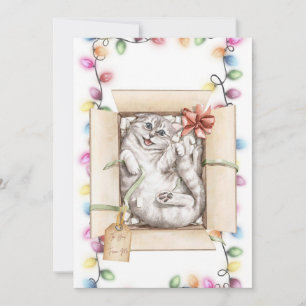 Funny Cat Christmas Cards 2