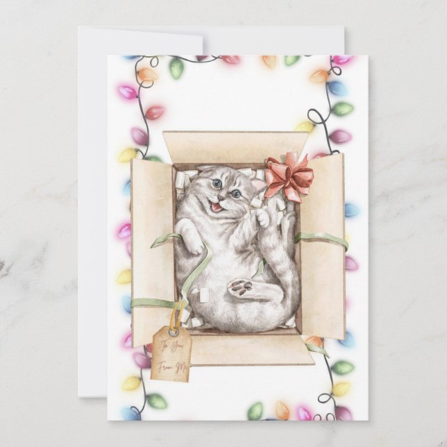 Funny Cat Christmas Cards 2 (Front)