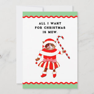 Funny Cat Christmas Holiday Card