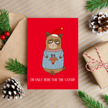 Funny Cat Christmas Holiday