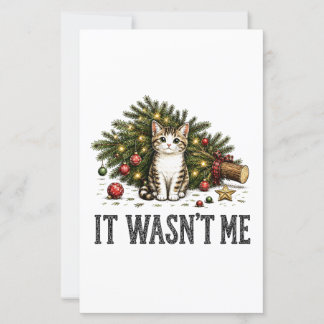 Funny Cat Christmas It Wasn't Me