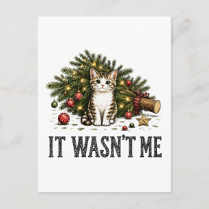 Funny Cat Christmas It Wasn't Me Postcard