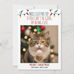 Funny Cat Christmas Photo with Custom Names Holiday Card