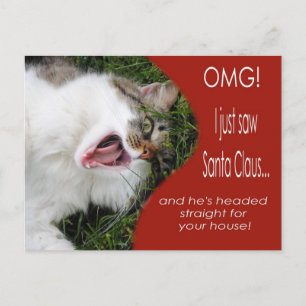 Funny Cat Christmas Postcard