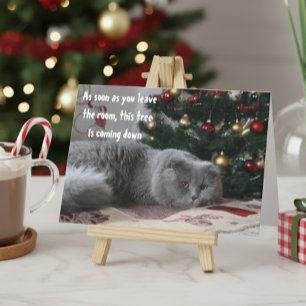 Funny Cat Christmas Tree Angry Greeting Holiday Card